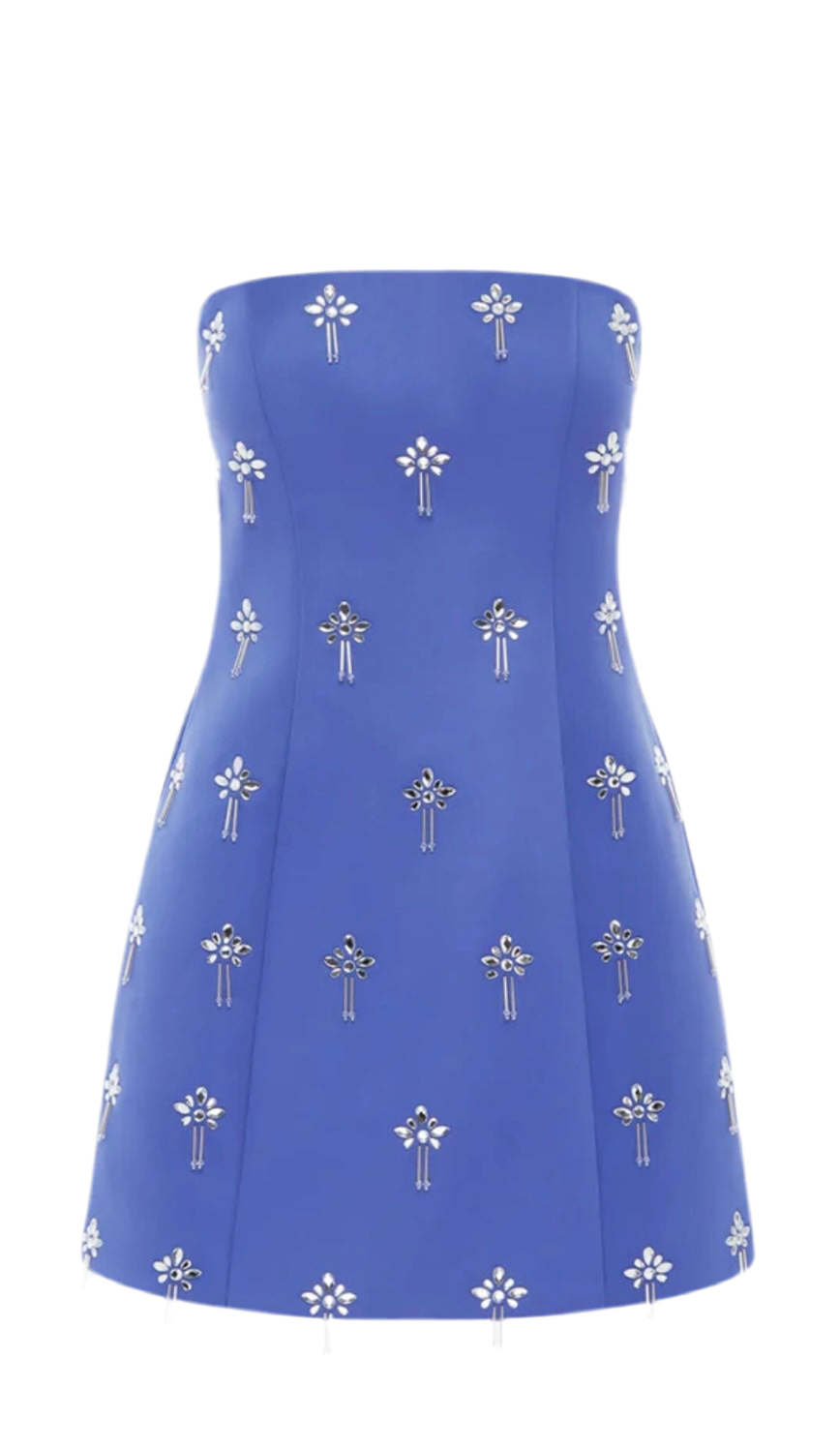 Roselle Embellished Bustier Mini Dress
