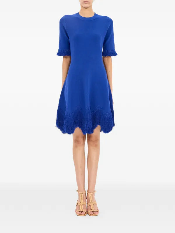 Vittoria SS Knit Dress with Fringe