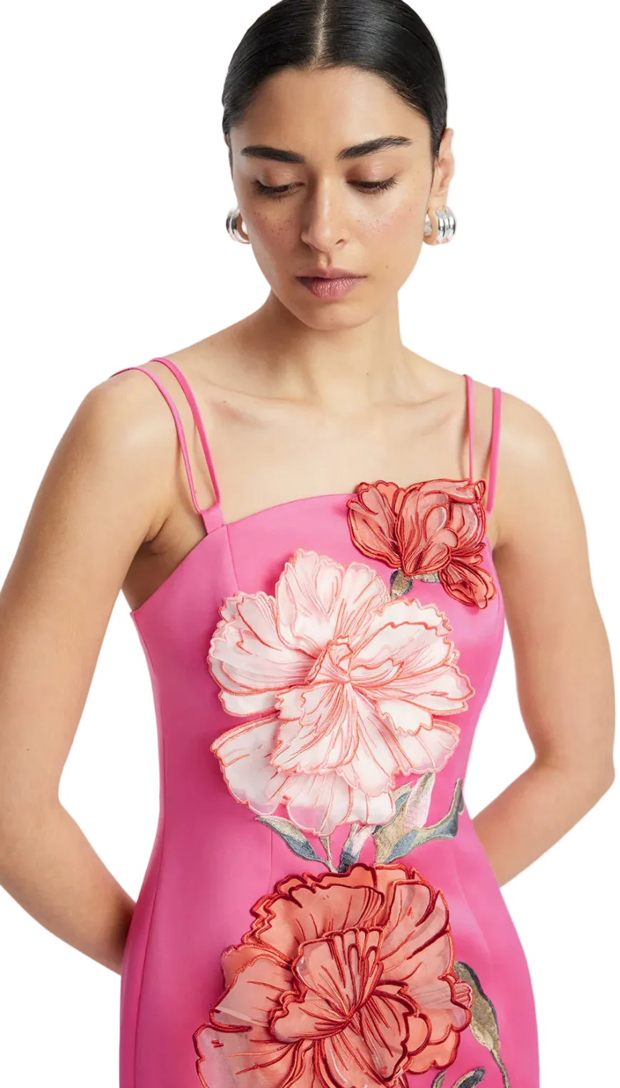 Arianna Applique Floral Maxi Dress