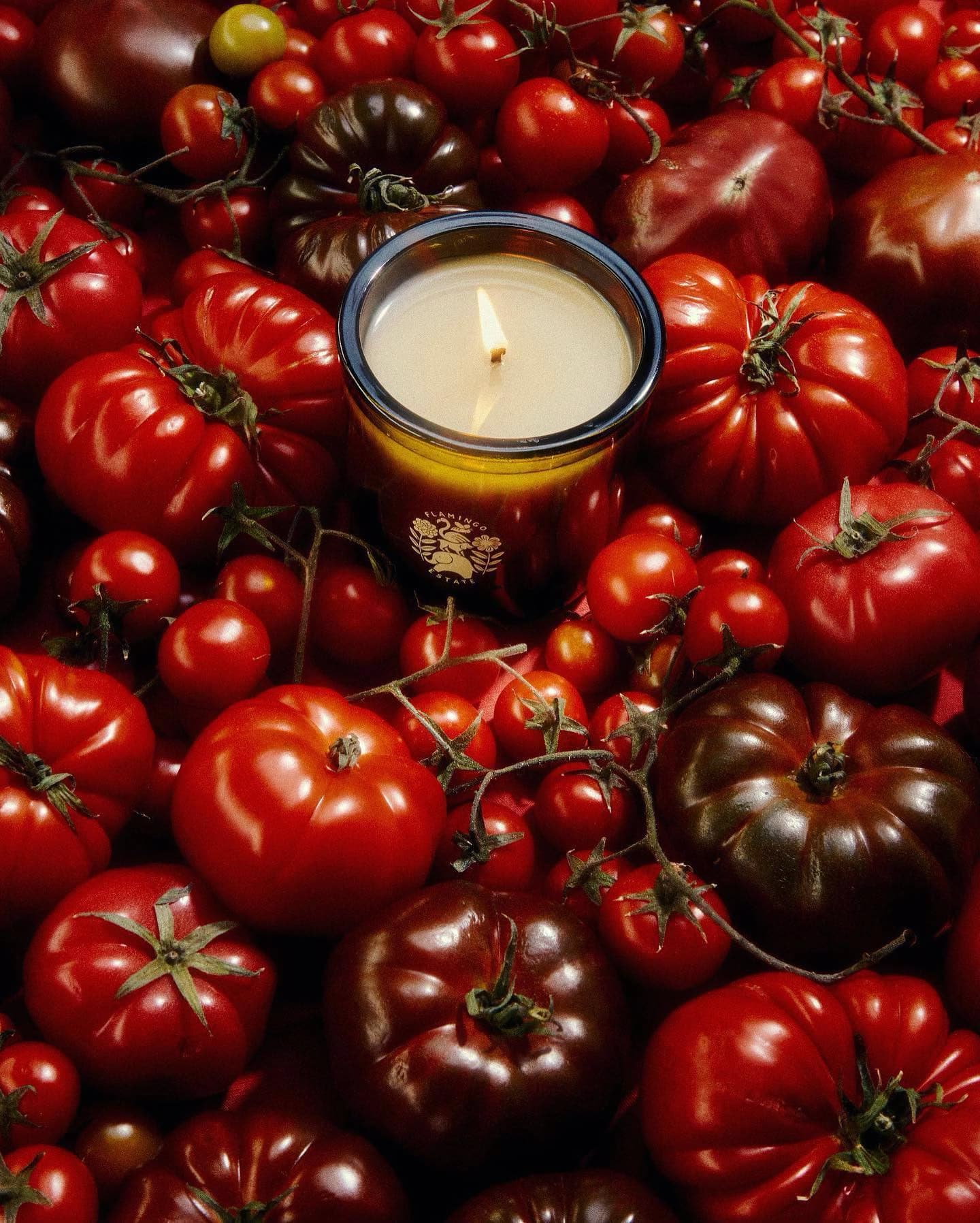 Roma Heirloom Tomato Candle
