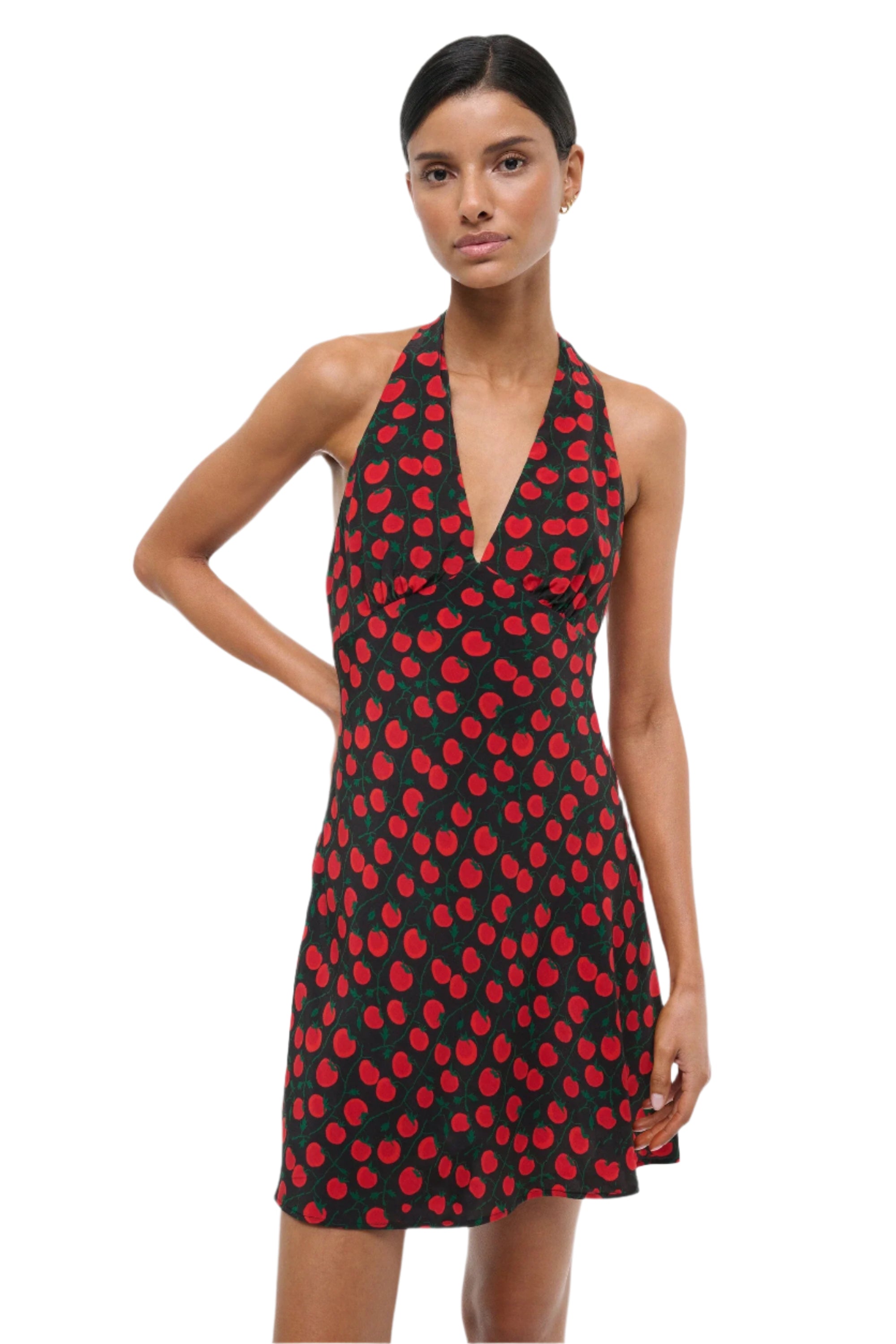 Lucca Mini Dress