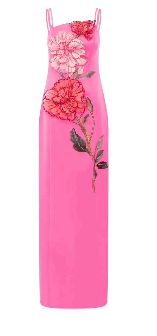 Arianna Applique Floral Maxi Dress